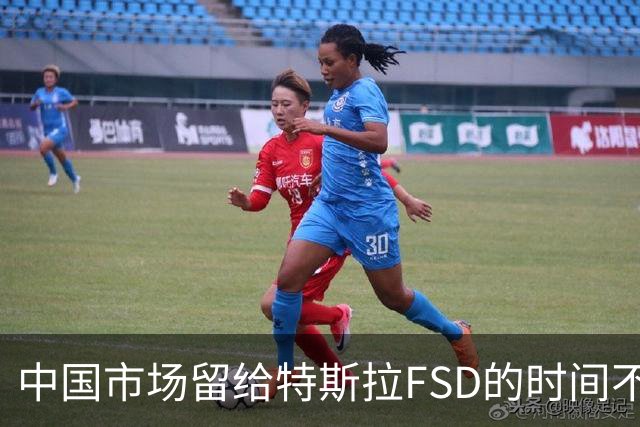 中国市场留给特斯拉FSD的时间不多了？