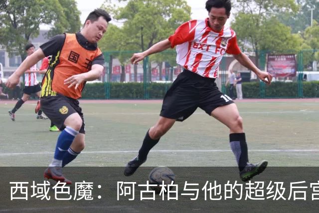 西域色魔：阿古柏与他的超级后宫